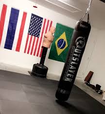 build the perfect mma gym at home