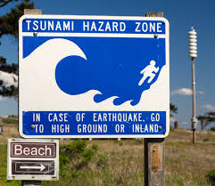 Tsunamizone