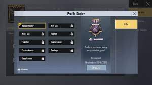 Achieve Pubg Lite Weapon Master Chicken Master For You By Mursleenabbasi Fiverr