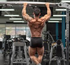 The lats perform the action of adducting and extending the humerus, this dictates how we train them. Old School Back Training For New Gains Bodybuilding Com