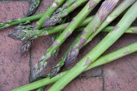 A Stalk of Wild Asparagus (pun intended) - Backyard Forager