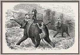 Elephant Hunting Drawings for Sale ...