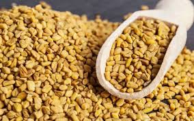 فالفرحة لن تسعها الدنيا بأكملها , وفي عالم الأحلام هناك بعض المنامات التي نراها قد تكون إشارة على أن المرأة تحمل في رحمها طفلين صغيرين , ومن خلال موقع مختلفون . Ø§Ù„Ø´Ù„Ù„ Ø§Ù„Ø±Ø®Ùˆ Ø§Ù„Ø­Ø§Ø¯ Acute Flaccid Paralysis Ø§Ù„Ù†Ø¨Ø§ØªØ§Øª Ø§Ù„Ø·Ø¨ÙŠØ© Ù„ØªØ±Ù‚Ù‚ Ø§Ù„Ø«Ø¯ÙŠ Ø§Ù„Ø³Ø±ÙŠØ¹Ù‡