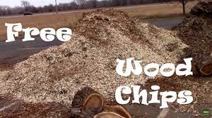 For free wood chips , call the professionals at atlanta tree professionals. Free Wood Chips How To Find Them And Even Have Them Delivered At No Cost Youtube