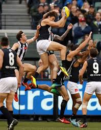 West coast eagles (gs) western bulldogs vs. Brodie Grundy Rachel Wertheim Brodie Grundy Photos Zimbio