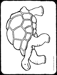 If you want colored picture to print then click print link for. Tortoise Kiddicolour