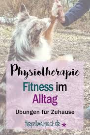 Physiotherapie Fur Den Hund Ubungen Fur Zuhause The Pell Mell Pack Hundchen Ubung Hunde Physiotherapie