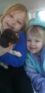 My Half Baked pics! So excited to meet our sweet baby girl! 💖