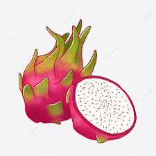 Maybe you would like to learn more about one of these? Gambar Realistik Tangan Dicat Buah Naga Percuma Bahan Png Buah Naga Buah Buah Tropika Png Dan Psd Untuk Muat Turun Percuma