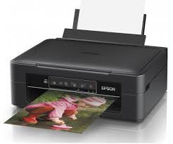 Send system mail to epson. Epson Xp 245 Driver Manual Software Download