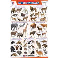 Chart No 19 Wild Animals