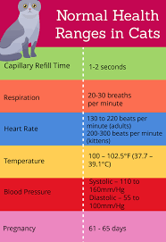 A person's resting heart rate naturally varies based on how active you are, how fit you are, how warm or cold it is, whether you are standing, sitting, or lying down, your emotional state, your body size and what medications you are on. Normal Health Ranges In Cats Cat Health Cats Health