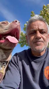 Mj Stoltz Dog Trainer