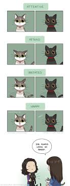 Artist Illustrates Everyday Life With Her Boyfriend And Cat Artist Life Comics Zombiesmile Mikiko Cute Comics Fun Comics Funny Comics