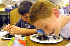 Test scores rise as districts adopt tailored strategies