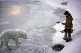 Résultat de recherche d'images pour "belle et sebastien 3"