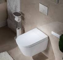 In-Wall Tank - Toilets - The Home Depot