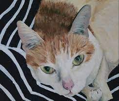 We did not find results for: Artistic Pet Portraits Artistic Pet Portraits