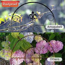 This dramatically reduces the risk of wilt. Buy Amagabeli 2 Pack Garden Trellis For Climbing Plants 60 X 18 Black Iron Potted Support Vines Metal Wire Plant Trellis For Climbing Vegetables Flower Patio Roses Cucumbers Clematis Pots Supports Gt05