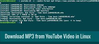 Download youtube desktop app for macos, windows and linux How To Download Mp3 Tracks From A Youtube Video Using Youtube Dl