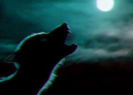 Careful and suspicious of humans. Blue Werewolf Tumblr Posts Tumbral Com