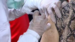 Add this game to your web page. Jarh Xivxpttam