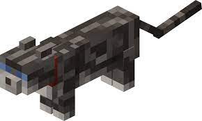 A player needs to be holding a raw cod or salmon to have the stray cat approach them. Cat Official Minecraft Wiki
