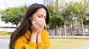 Le Murier Platane Provoque T Il De L Asthme