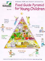 Food Pyramid For Kids By Barb Struempler Food Pyramid Kids