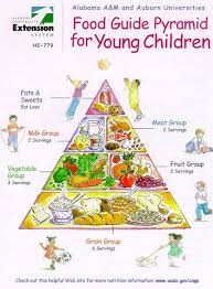 food pyramid for kids by barb struempler food pyramid kids