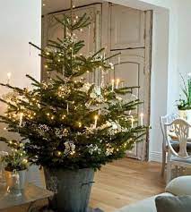 Merry Christmas From Our Rental House Potted Christmas Trees Christmas Decorations Rustic Beautiful Christmas