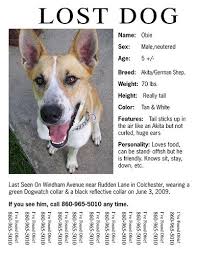 The Teacher S Pets 8 Steps To Help You Find Your Lost Dog Losing A Dog Losing A Pet Dog Names