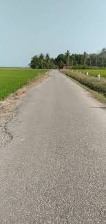 Terdapat satu istilah ini yang dikenali sebagai the latte factor oleh penulis david bach yang. Tanah Lot Di Kedah Untuk Dijual Murah