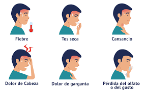 Ele pertence a uma família de vírus que já circulava no. Sintomas Del Covid 19