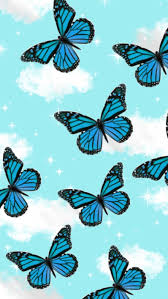 With open wings in a top view as a flying migratory insect butterflies that represents summer and the beauty of nature. Blue Butterfly Wallpaper Enjpg