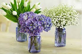 Join our celebrations passport to recieve free shipping/ no service charge, for one year. 1 800 Flowers Com Adds Passport Members With Its Amazon Prime Day Tie In