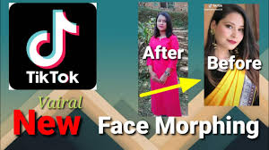 30 Morph Tiktok Icon Icon Logo Design