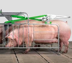 Products • Crystal Spring Hog Equipment