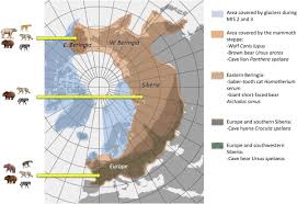 We did not find results for: Isotopic Tracking Of Large Carnivore Palaeoecology In The Mammoth Steppe Sciencedirect