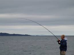 As with most things in fishing, line selection will ultimately come down to the target species, water clarity, surrounding structure and a number of other factors. 5 Reasons Why You Should Consider Saltwater Float Fishing Canny Angler