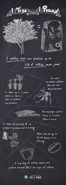 Coffee is enjoyed by many people on a daily basis, but how much is too much? 380 Coffee Ideas Coffee Coffee Cafe Coffee Drinks
