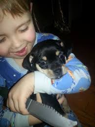 Will this Camaro run a 5.5-second time?