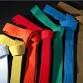 Gradings: White to Brown Belt event image