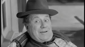 Petticoat Junction Full Length Feature Film, 1963!