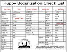 33 Best Puppy Socialization Training Images Puppy