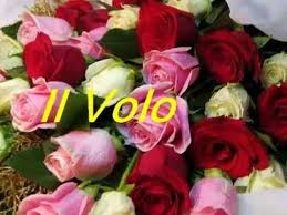 Grande Amore Il Volo By Prince Of Roses Youtube Rose Volo Flowers