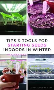 Check spelling or type a new query. Starting Seeds Indoors During The Winter Lovely Greens