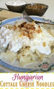 Hungarian Cottage Cheese Noodles Anna Can Do It Cheese Noodles Hungarian Recipes Pumpkin Spiced Latte Recipe
