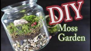 Using a spoon, your fingers, the end of a brush, or even a pencil, dig a well to place your plants roots in. Diy Moss Terrarium How To Make A Moss Garden Youtube