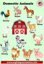 These animals do not thrive in a home environment. 10 Domestic Animals Name Pictures And Definition English Grammar Here